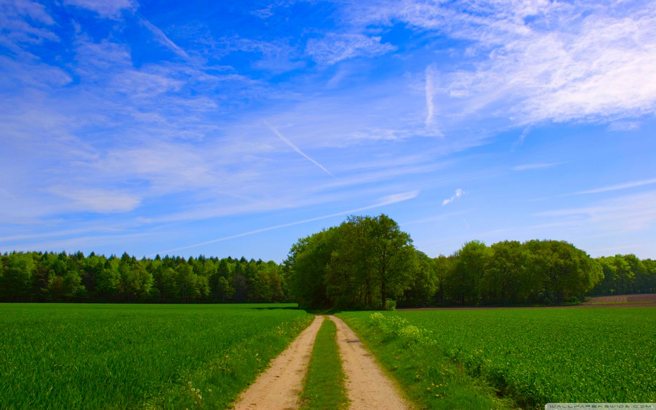 outdoor szene wallpaper,himmel,natürliche landschaft,grün,wiese,natur