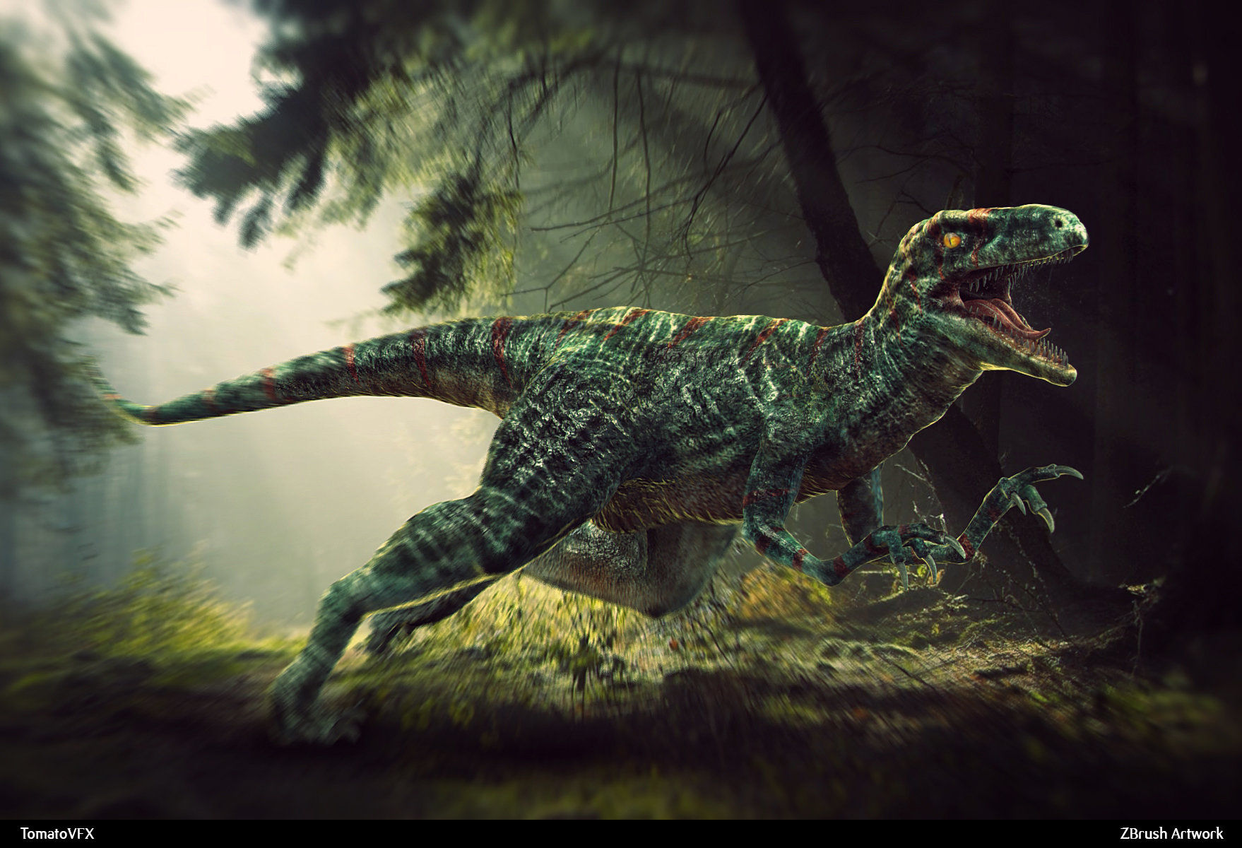 velociraptor wallpaper,dinosaur,nature,velociraptor,terrestrial animal