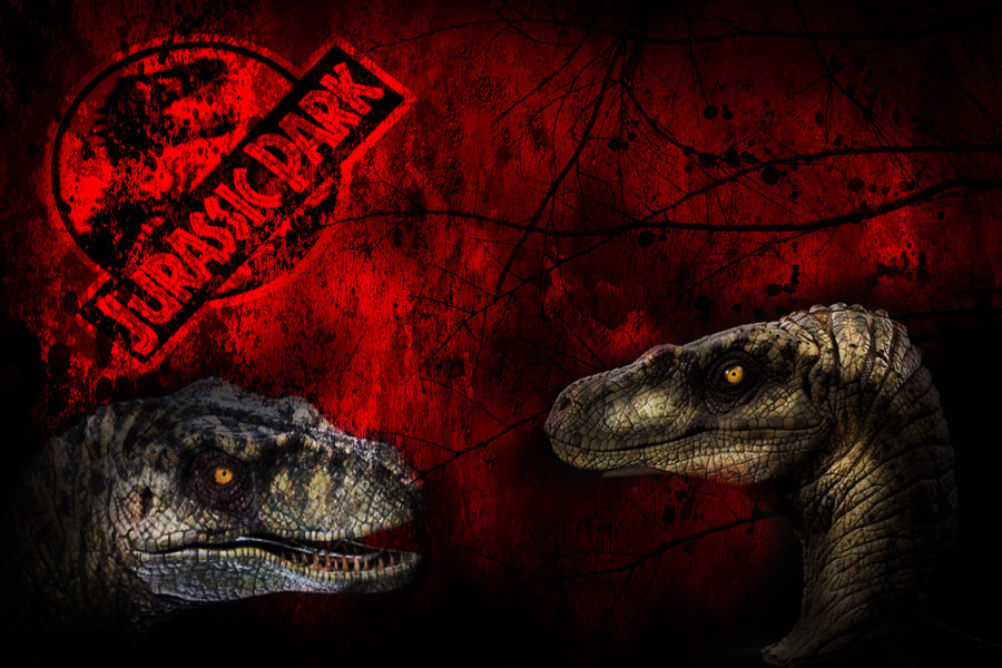 velociraptor tapete,komodo drache,velociraptor,reptil,dinosaurier,auge