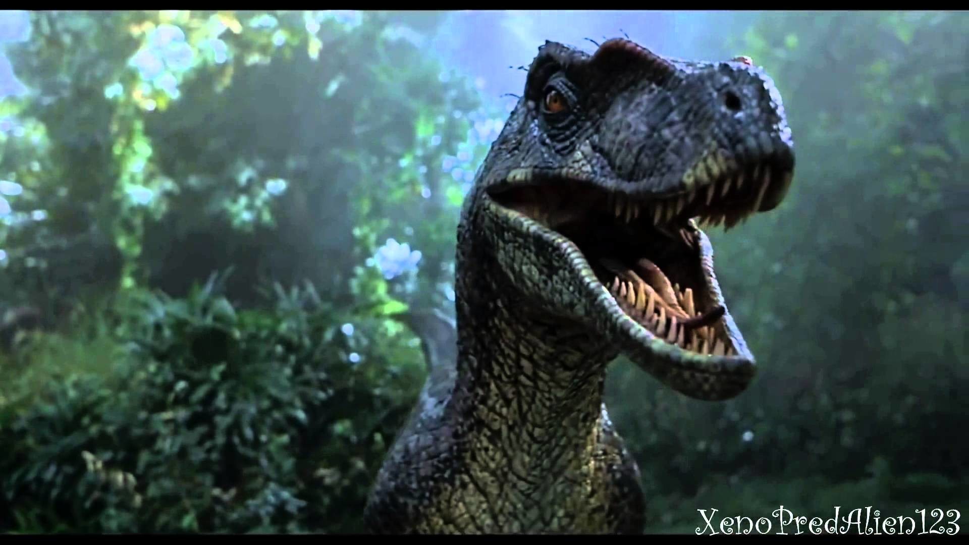 velociraptor wallpaper,dinosaur,tyrannosaurus,velociraptor,terrestrial animal,extinction