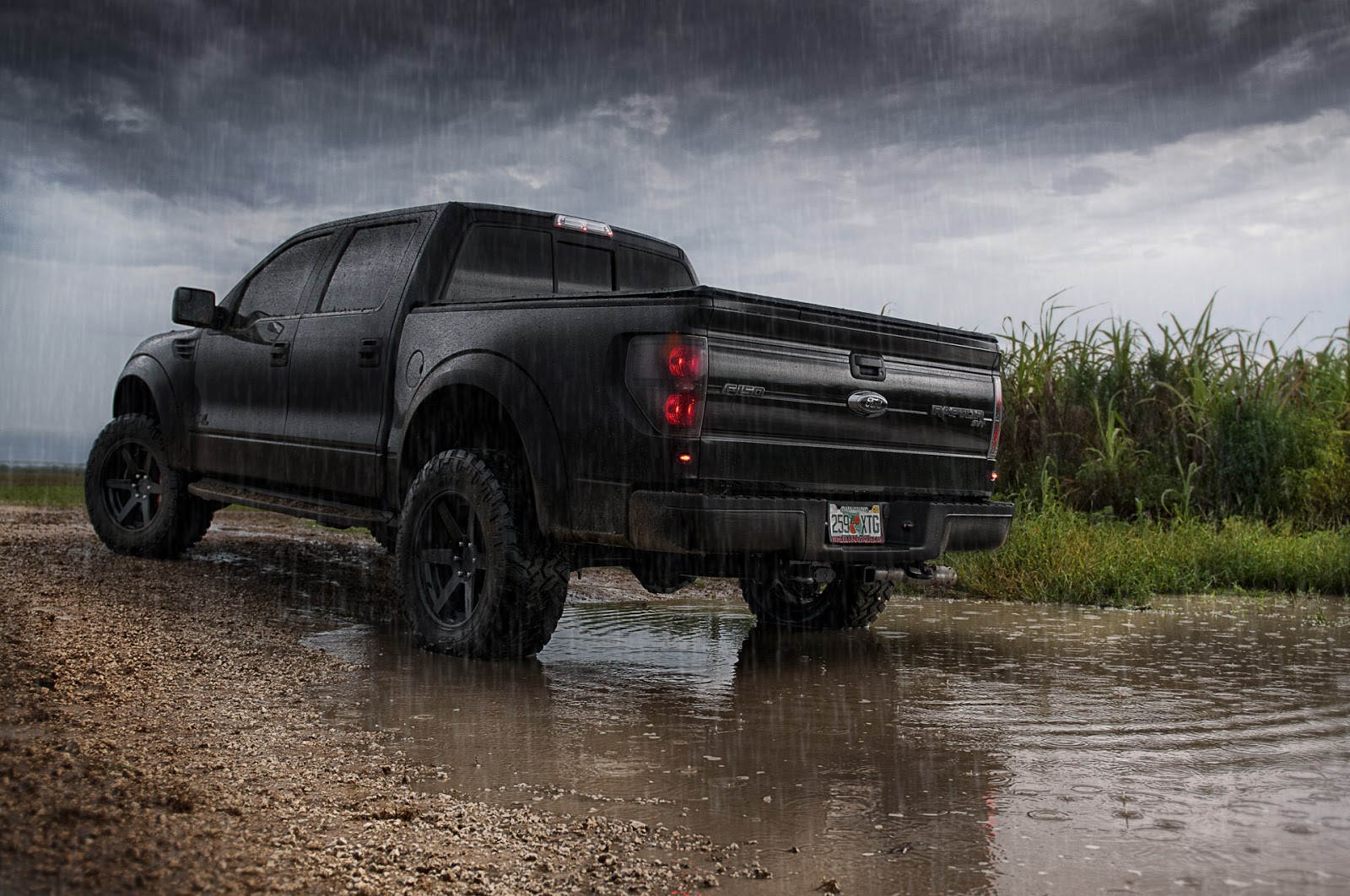 ford raptor wallpaper,landfahrzeug,fahrzeug,auto,offroading,pick up