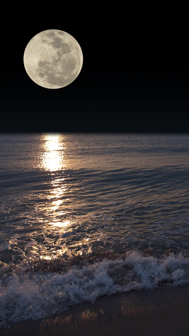 123 fonds d'écran hd,lune,pleine lune,ciel,clair de lune,atmosphère