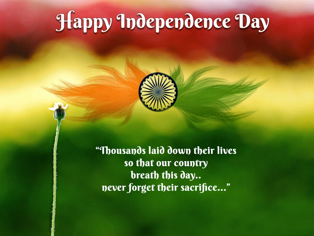 jour de l'indépendance de l'inde hd fonds d'écran,pissenlit,paysage naturel,matin,pissenlit,police de caractère