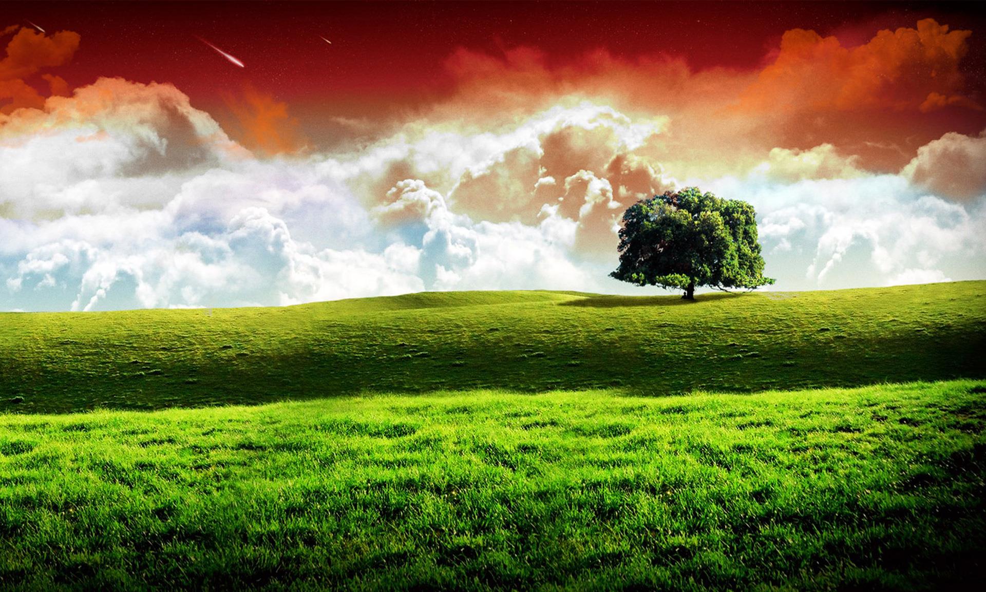 インドの独立記念日のhdの壁紙,自然の風景,自然,草原,空,緑
