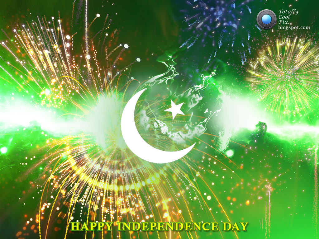 hd independence wallpaper,green,nature,fireworks,event,holiday
