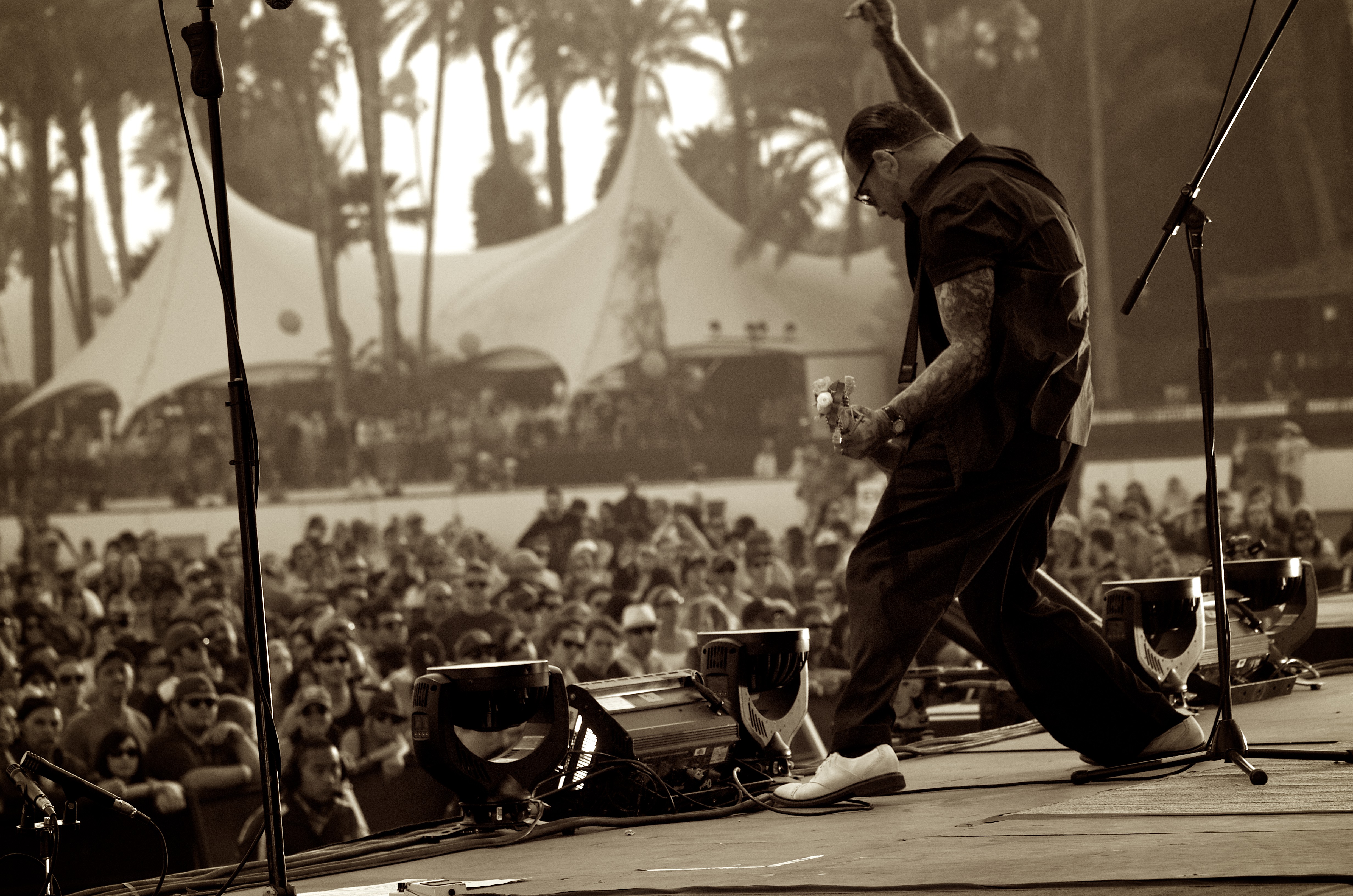 social distortion wallpaper,black and white,crowd,tree,photography,monochrome