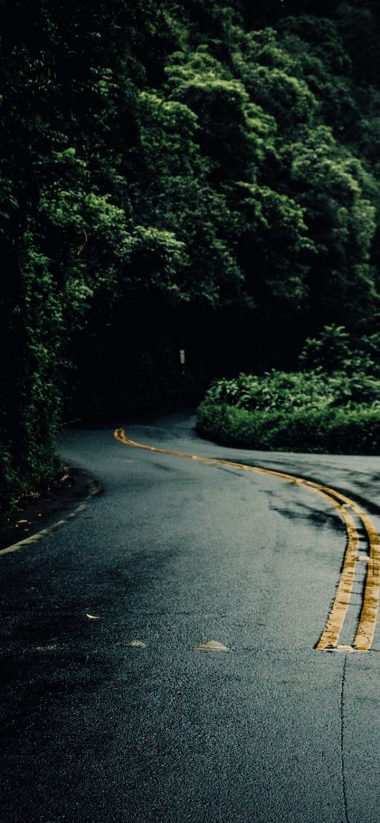 誰の壁紙,自然,アスファルト,道路,自然の風景,木