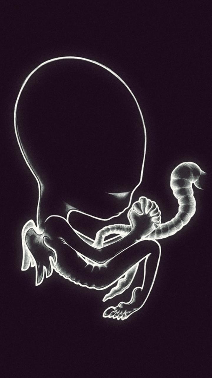 sigur ros wallpaper,illustration,animation,x ray,fictional character