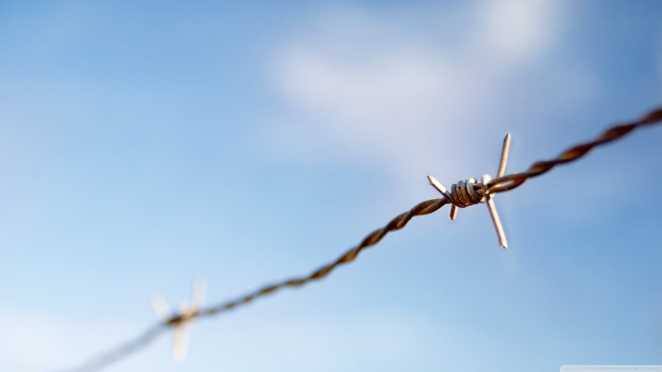 wire wallpaper,wire fencing,barbed wire,fence,sky,pest