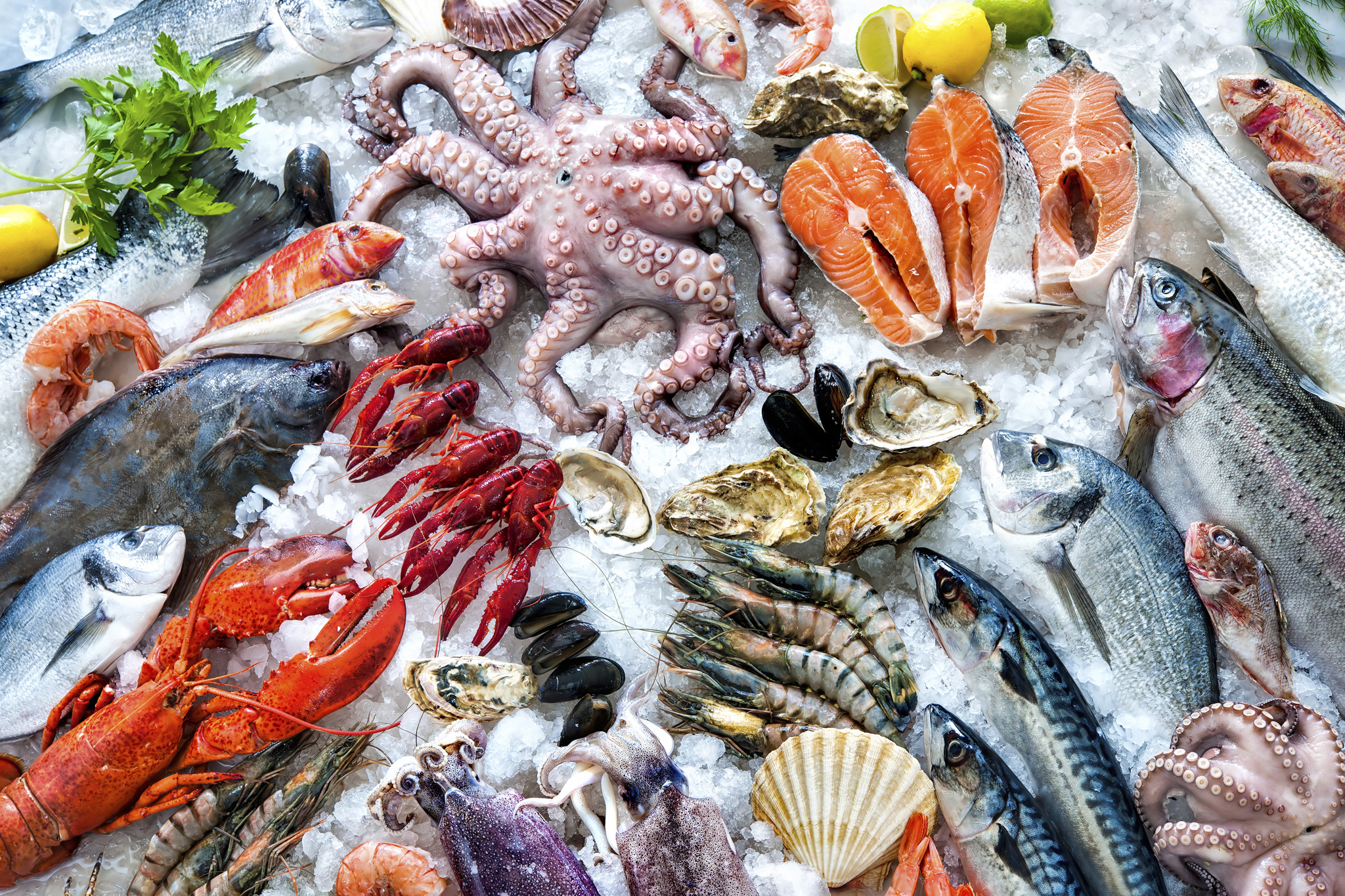 carta da parati a base di pesce,pesce,prodotti ittici,frutti di mare,pesce azzurro,cibo