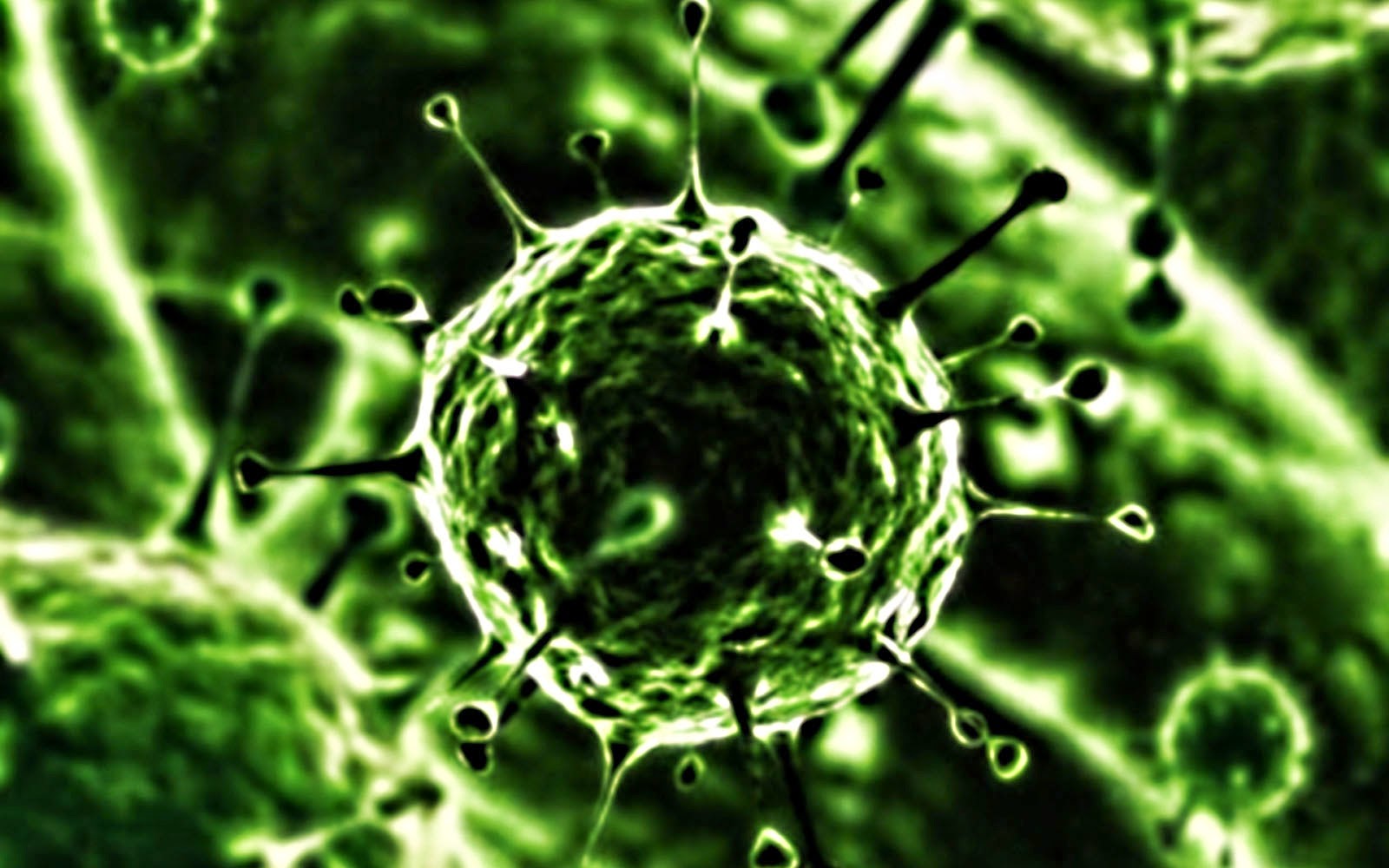 fondo de pantalla de virus,agua,verde,fotografía macro,arte fractal,planta