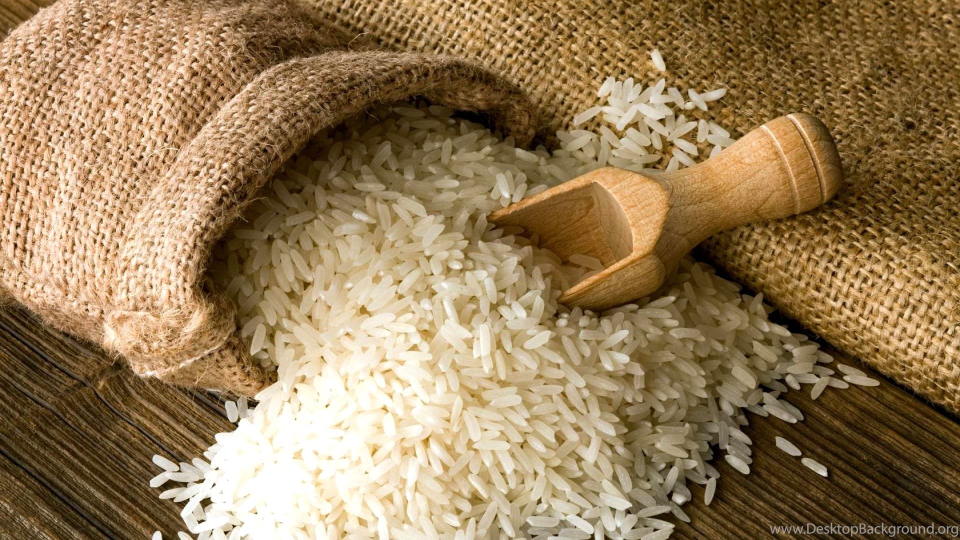쌀 벽지,재스민 쌀,흰 쌀,음식,쌀,인도