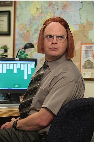 fond d'écran dwight schrute,emploi