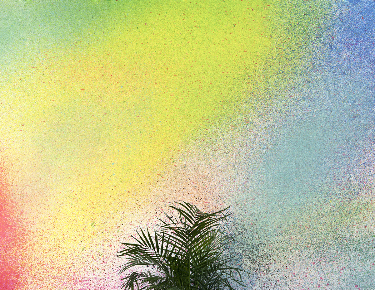 foto de portada,verde,cielo,amarillo,árbol,césped