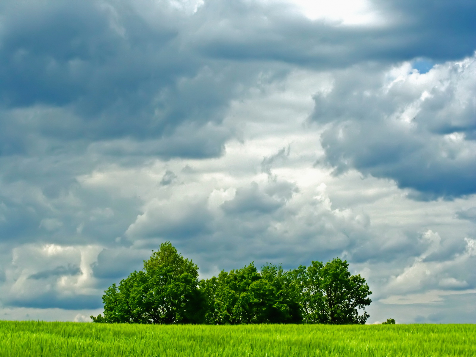 fond d'écran d nya,ciel,nuage,paysage naturel,vert,jour