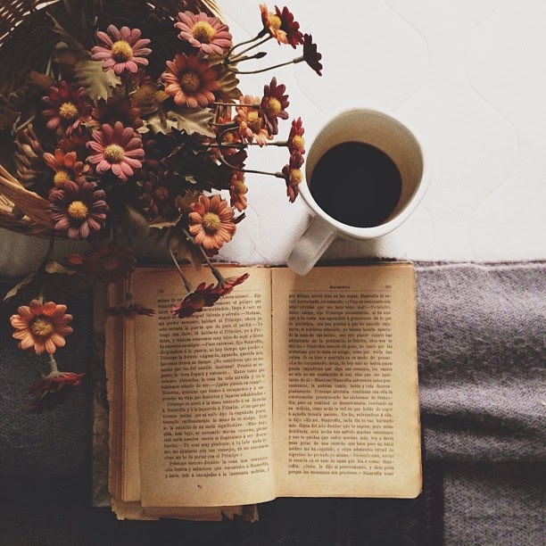 books wallpaper tumblr,still life photography,flower,plant,branch,still life