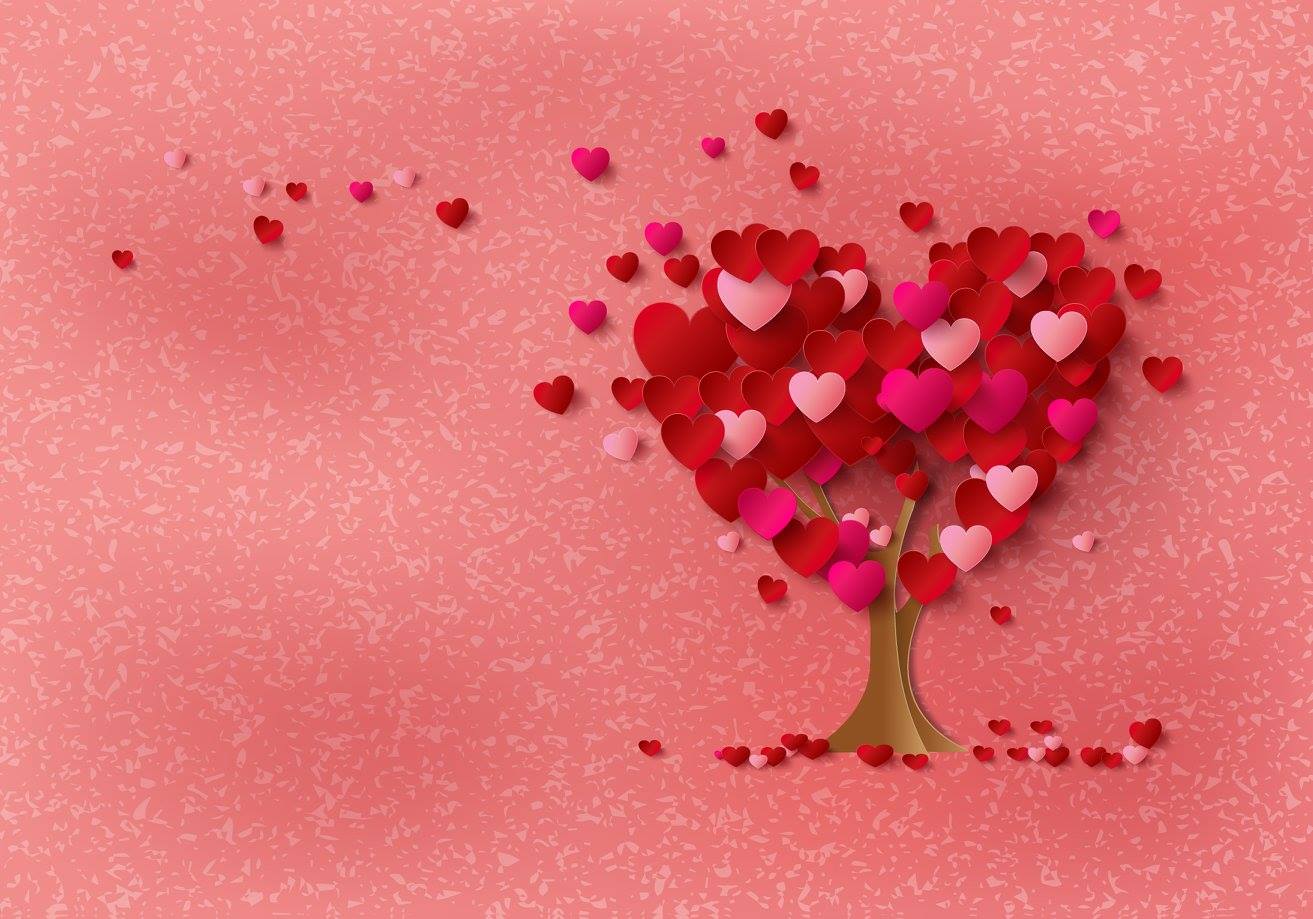 ak wallpaper,cuore,rosa,san valentino,amore,petalo