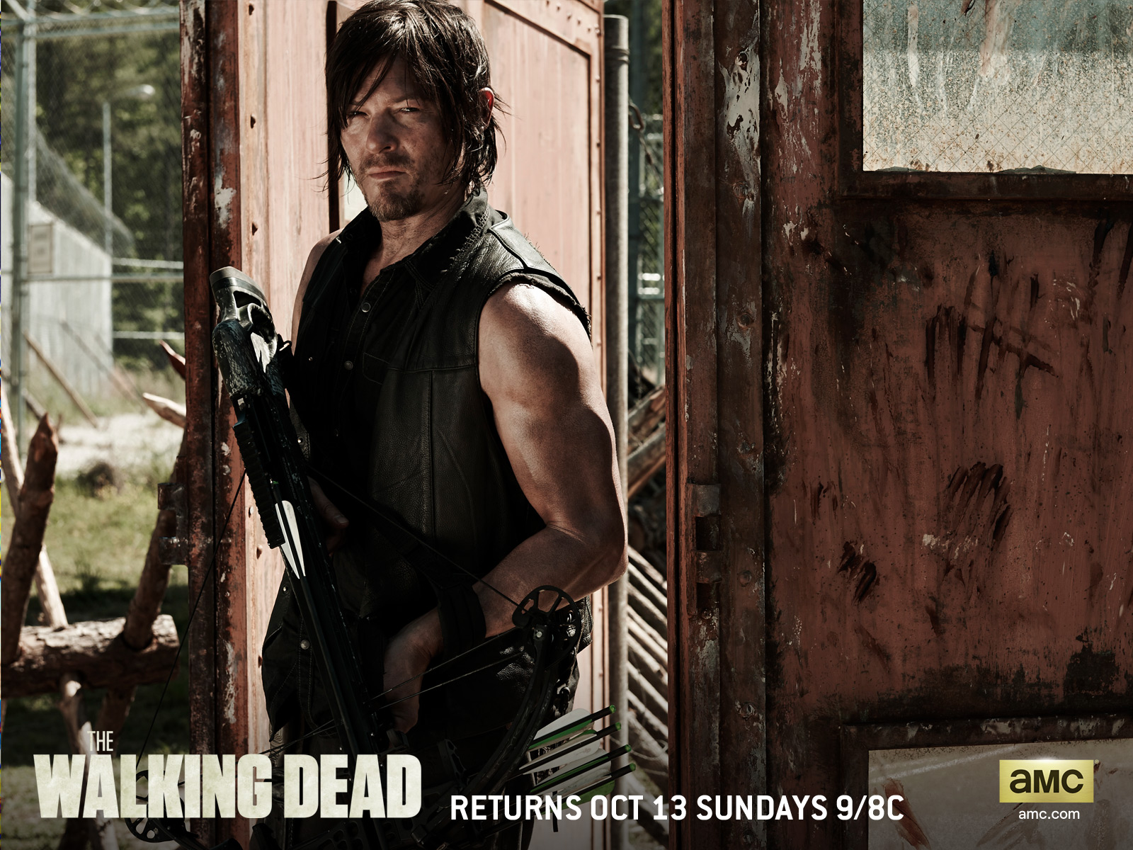 the walking dead daryl wallpaper,movie,action film,muscle,photo caption,gunfighter