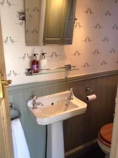 cloakroom wallpaper,bathroom,room,property,wall,sink