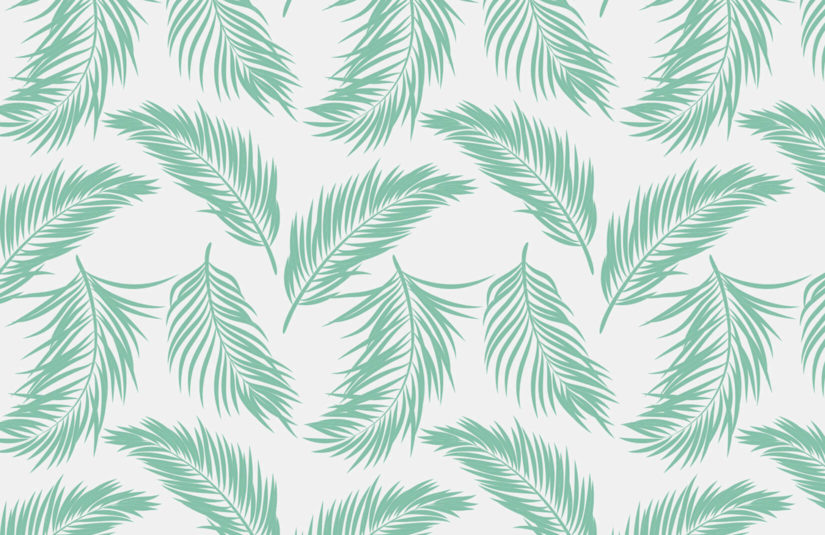 leaf design wallpaper,pattern,leaf,white pine,botany,plant