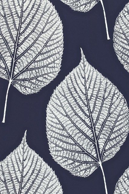 葉のデザインの壁紙,葉,パターン,工場,黒と白,木