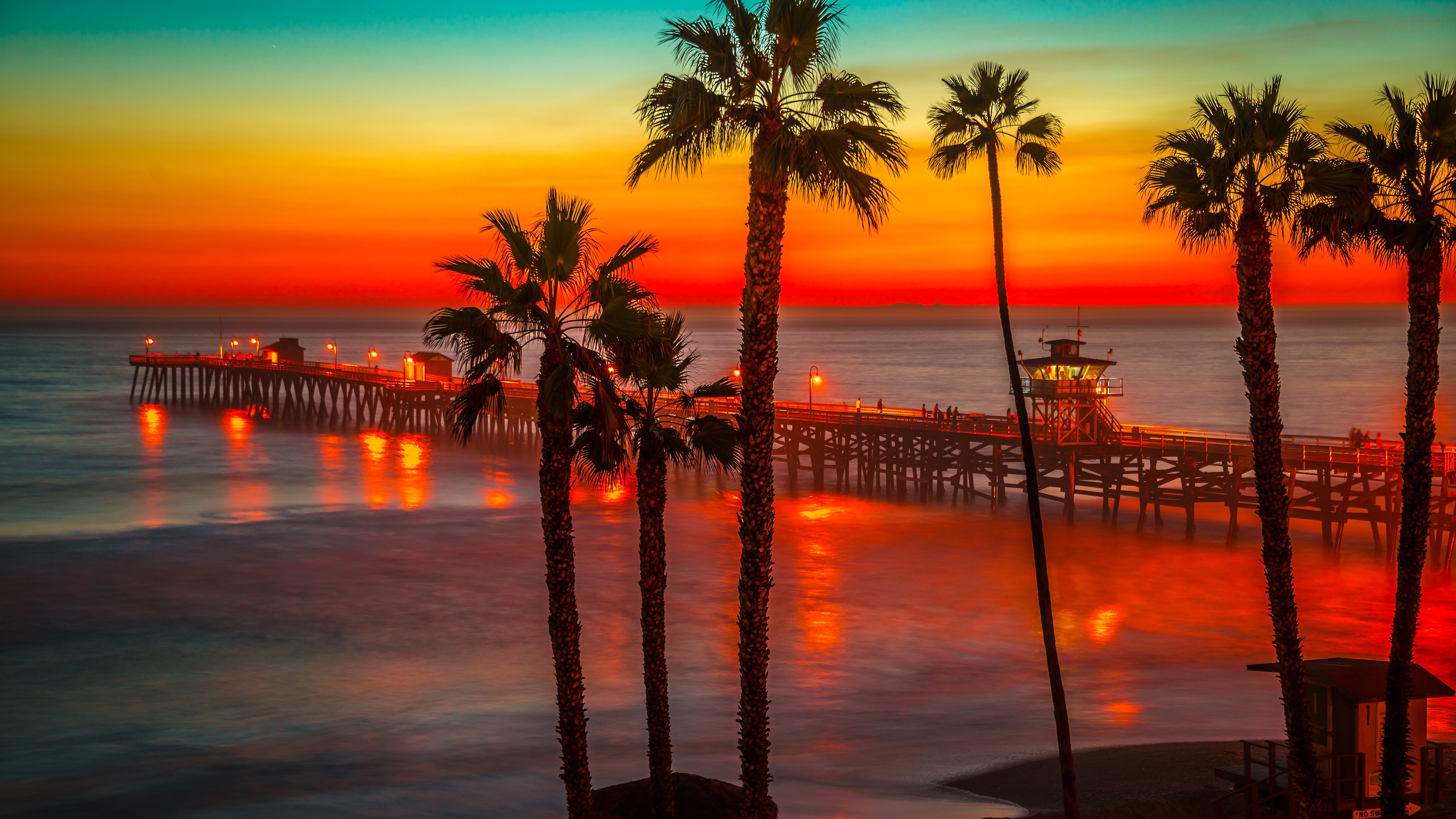 palm tree desktop wallpaper,sky,sunset,horizon,sunrise,tree