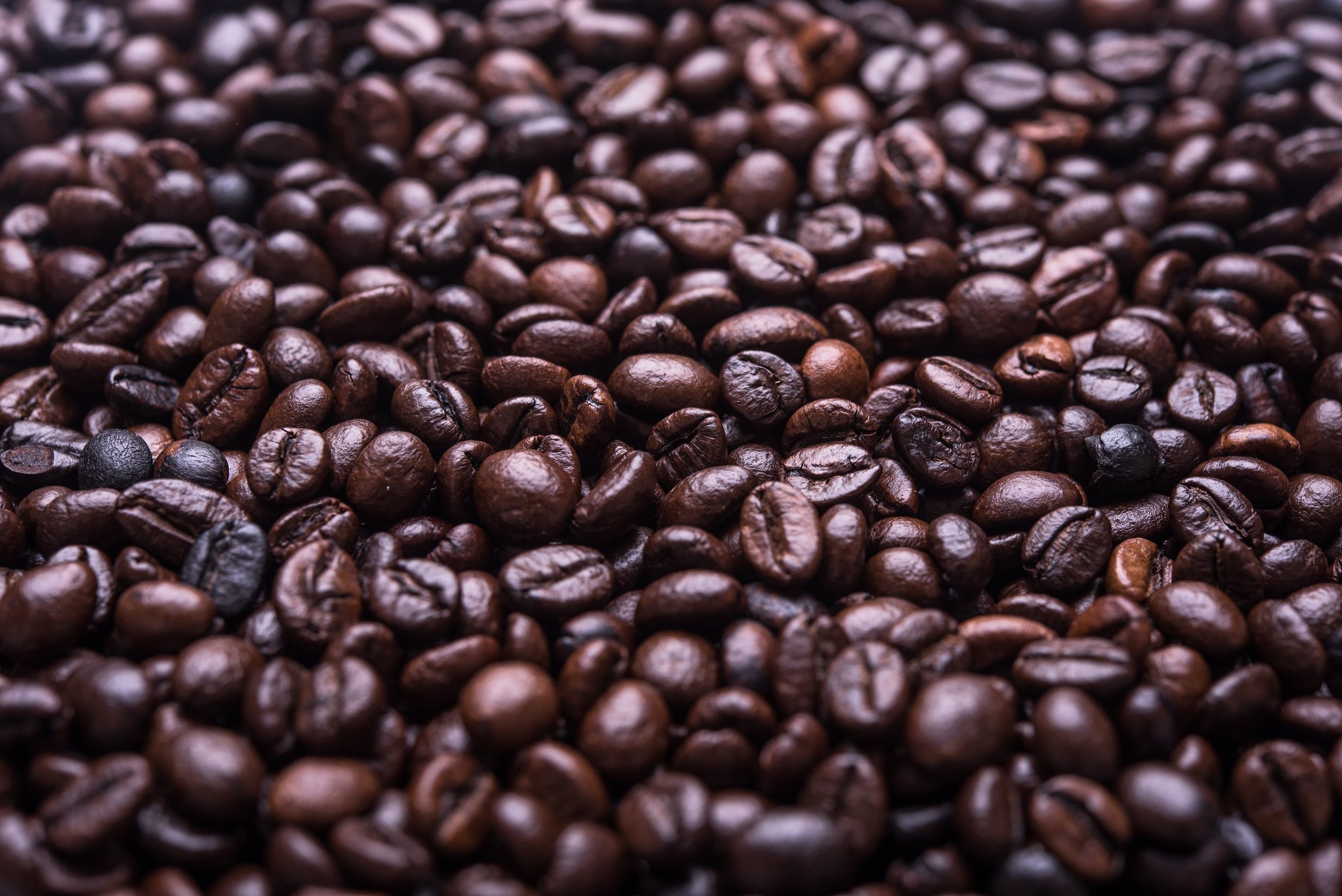 mittlere tapete,bohne,kaffee mit einem ursprung,kapeng barako,essen,java kaffee