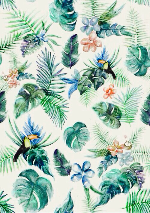 carta da parati tropicale tumblr,modello,pianta,foglia,design,fiore