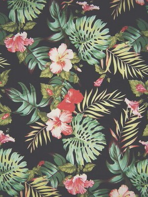 tropische tapete tumblr,blume,muster,pflanze,rosa,blühende pflanze