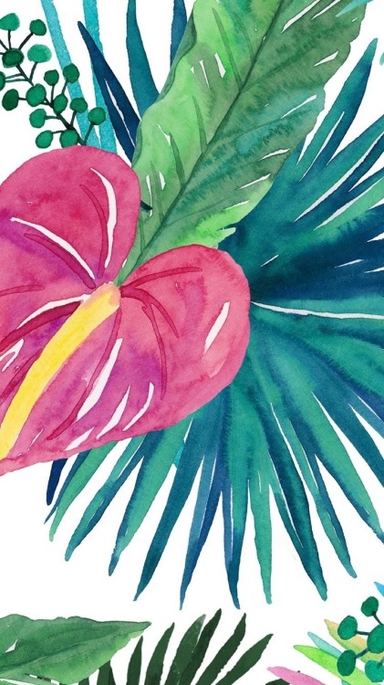 papier peint tropical tumblr,feuille,fleur,plante,anthurium,plante à fleurs