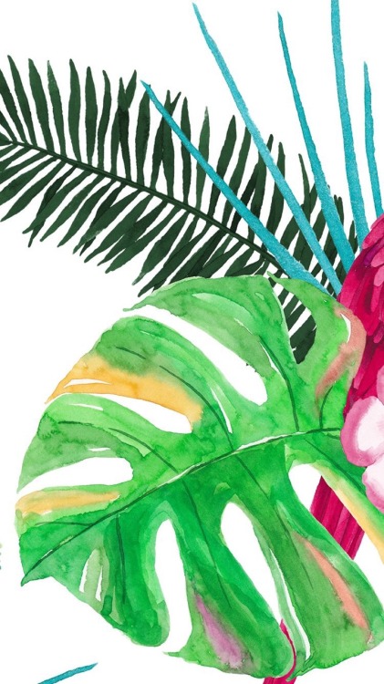 tropical wallpaper tumblr,green,leaf,plant,tree,graphics