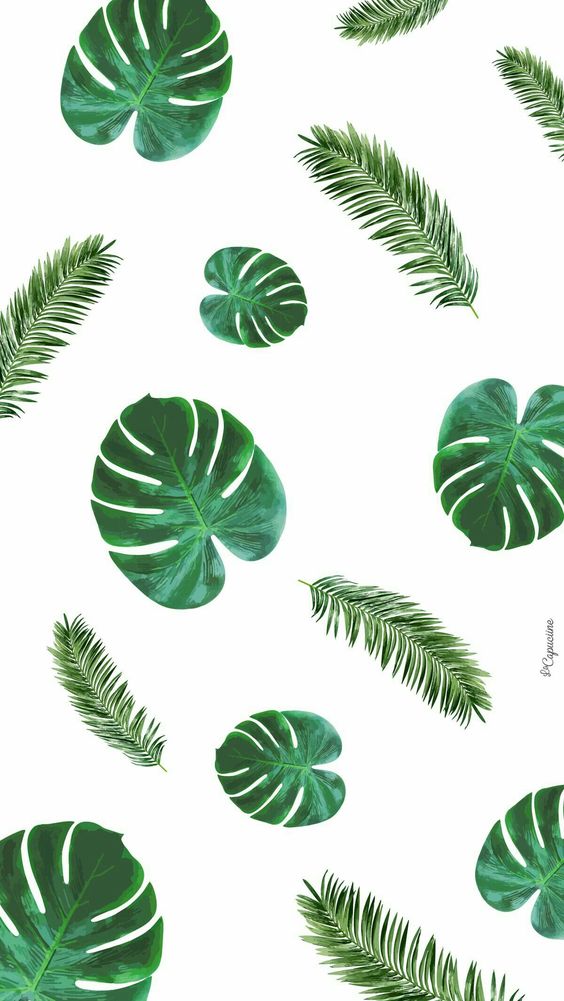 tropische tapete tumblr,grün,blatt,pflanze,muster,clip art