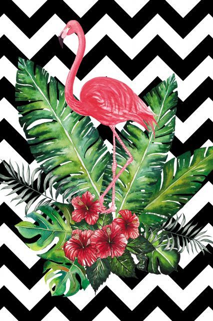 papier peint tropical tumblr,flamant,oiseau d'eau,oiseau,plante,feuille