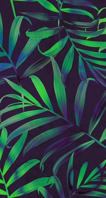 トロピカル壁紙tumblr,緑,パターン,葉,工場,設計
