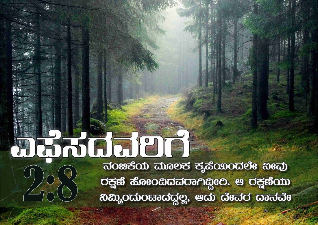 kannada bibel worte wallpaper,natürliche landschaft,natur,wald,baum,alter wald