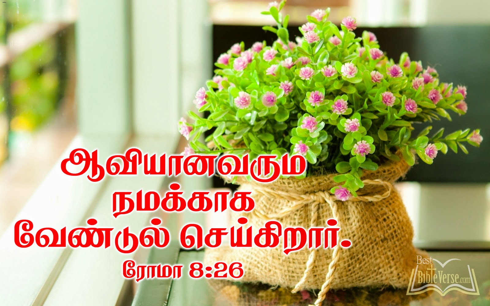 kannada bible words wallpaper,flowerpot,flower,plant,bouquet,houseplant