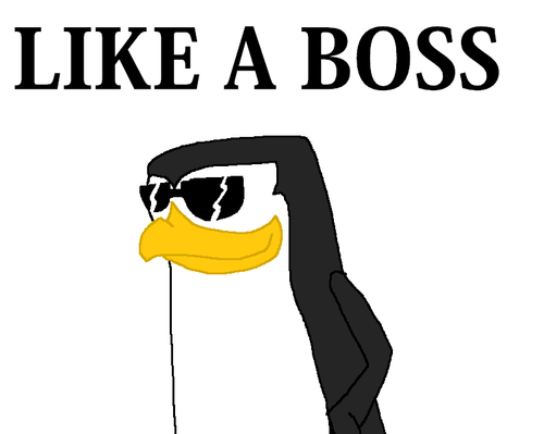 like a boss wallpaper,bird,flightless bird,cartoon,line,glasses