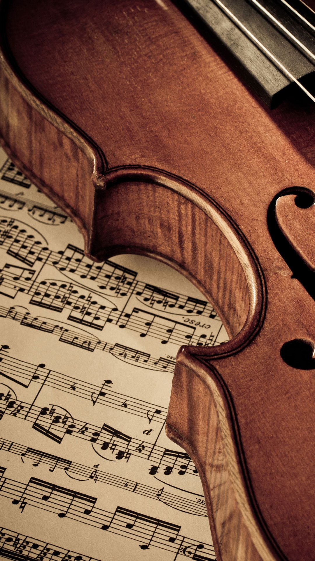 wallpaper musique,music,violin,string instrument,violin family,font