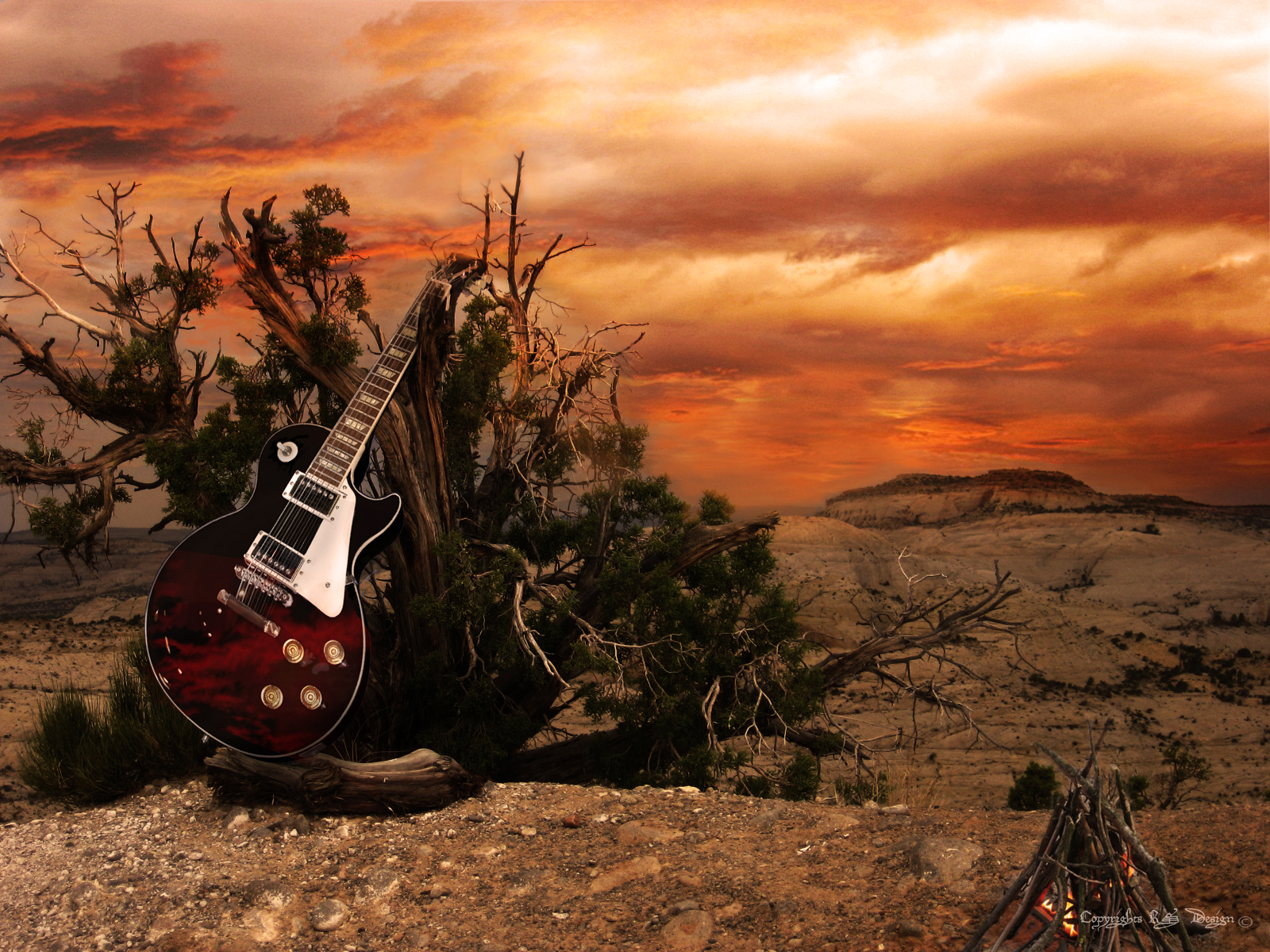 wallpaper musique,sky,tree,landscape,photography,plucked string instruments