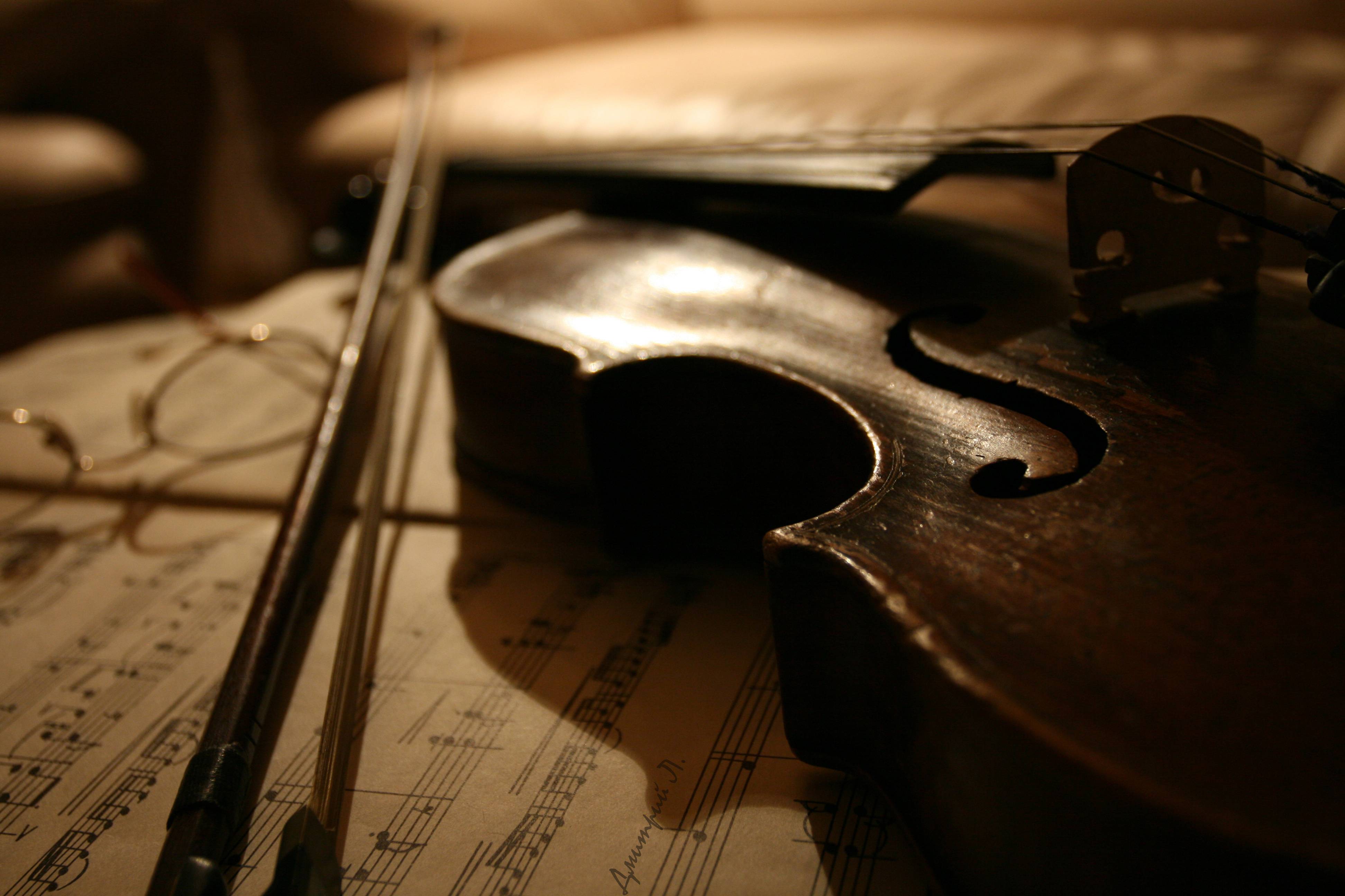 musica mg wallpaper,violino,violino,musica,strumento musicale,violoncello