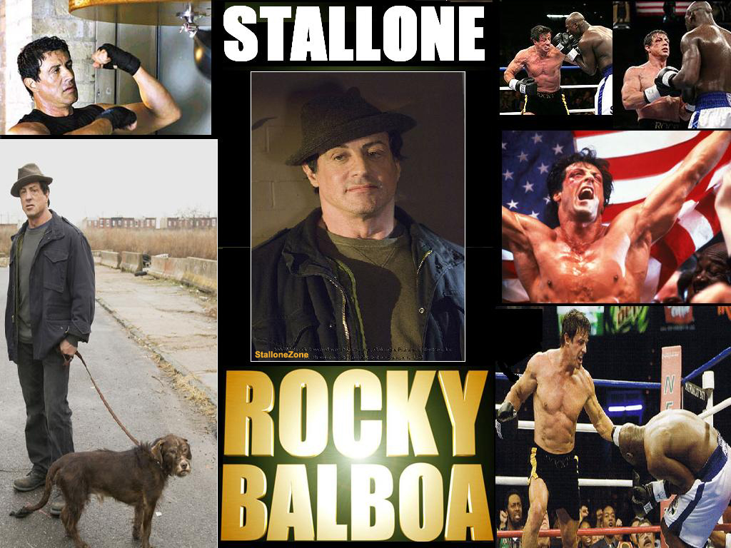 rocky balboa wallpaper hd,movie,collage,art,muscle,american pit bull terrier