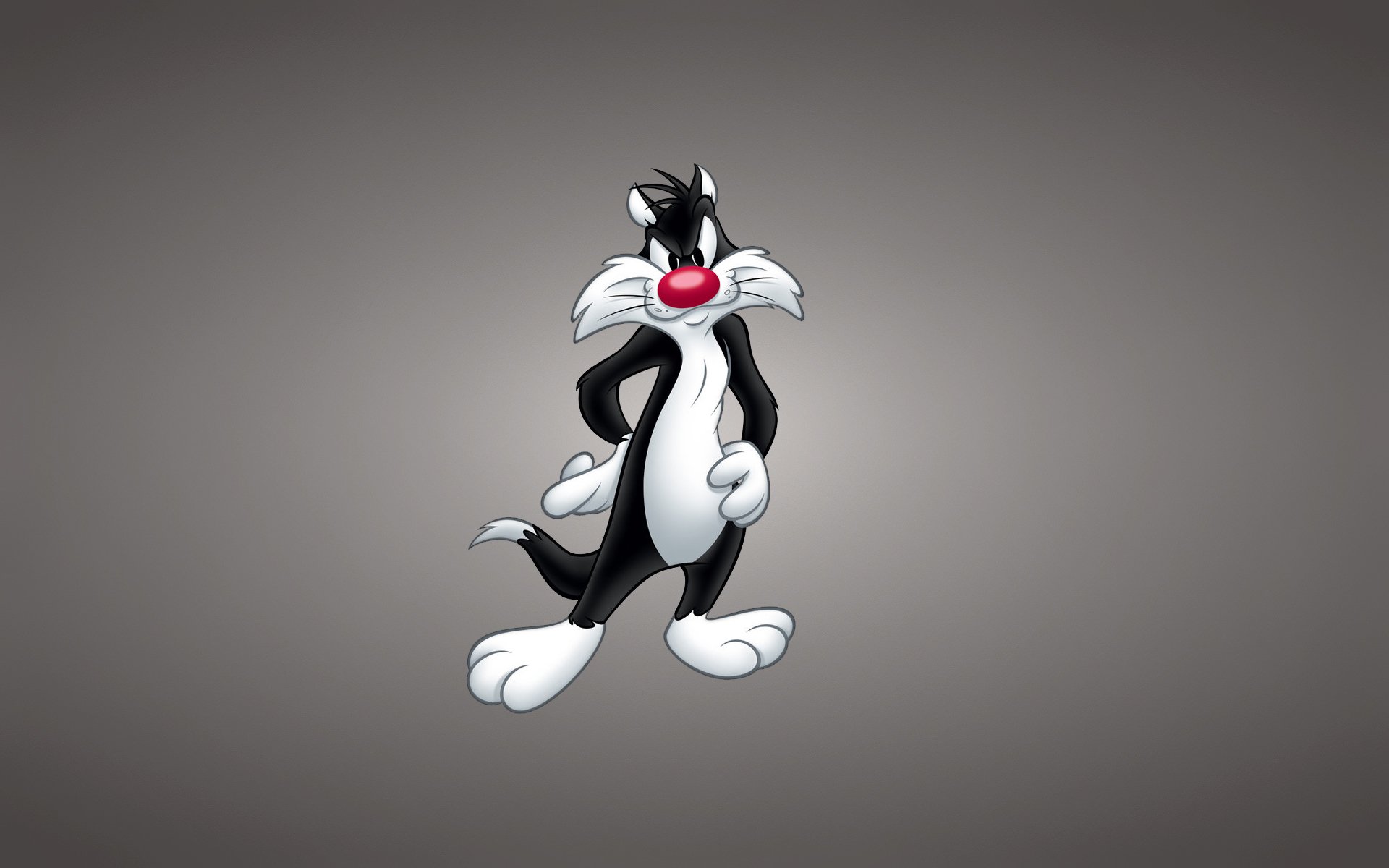 silvester wallpaper,cartoon,animated cartoon,skunk,animation,tail