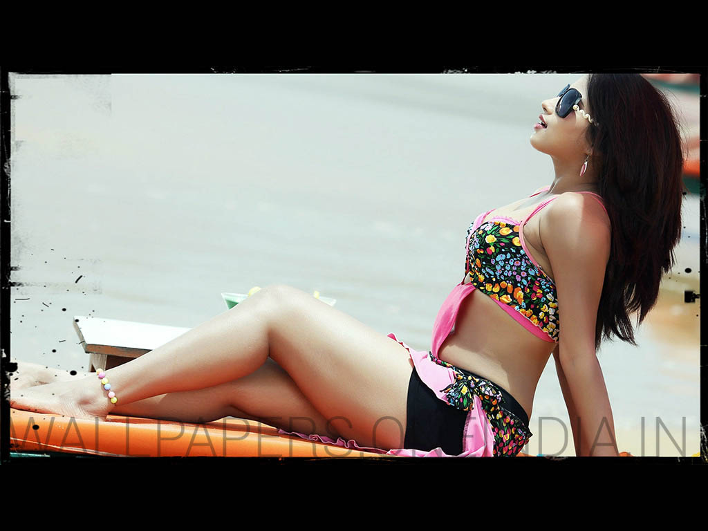 tamil actress wallpapers hq,clothing,bikini,beauty,swimwear,leg