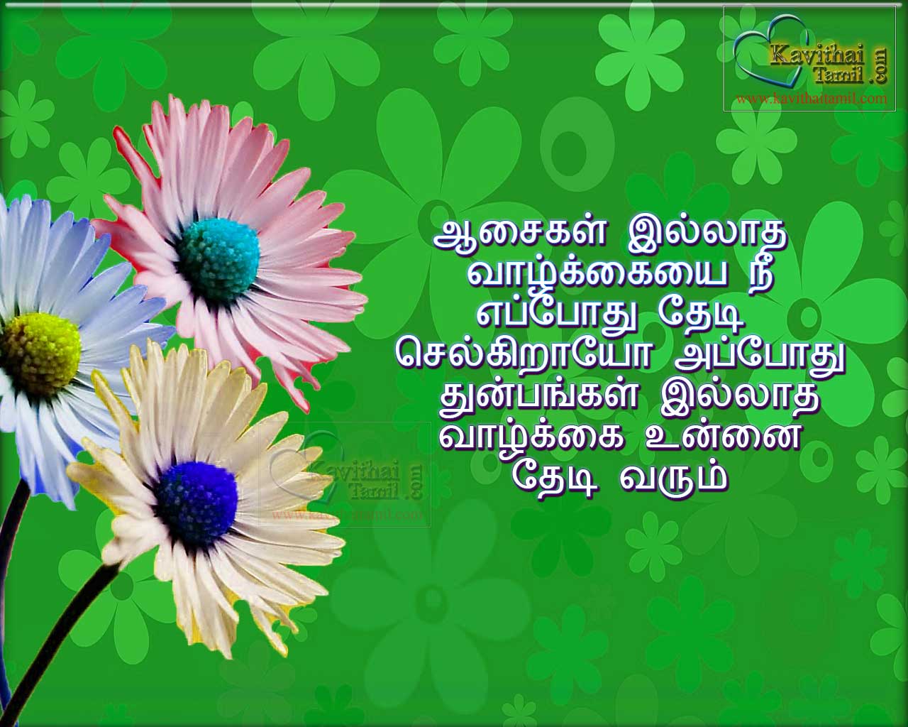 tamil kavithai wallpapers download,flower,text,daisy,plant,wildflower