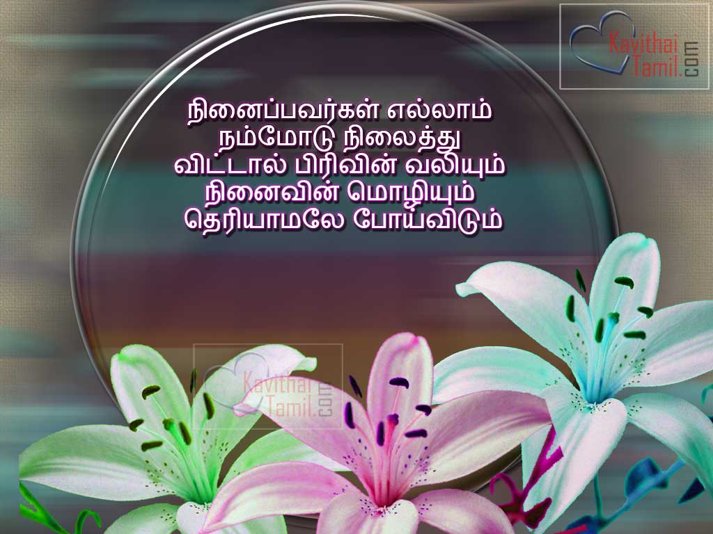 tamilisch kavithai wallpaper herunterladen,lilie,blume,text,pflanze,blütenblatt