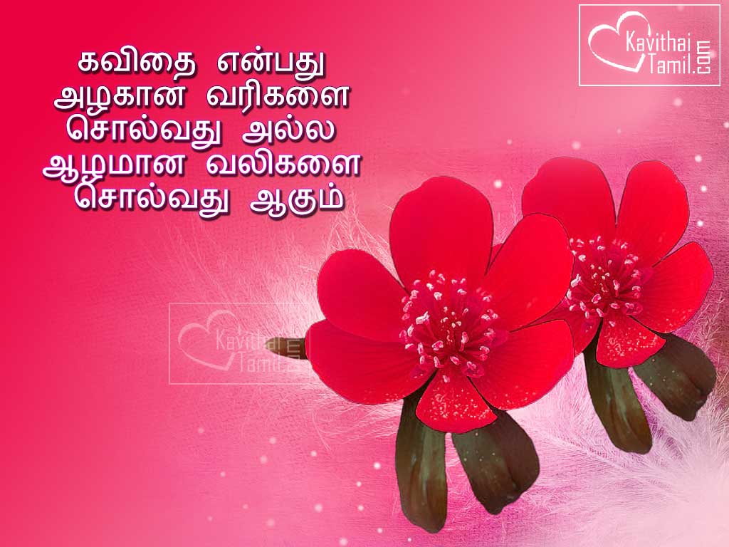 tamil kavithai wallpapers download,pink,text,petal,red,valentine's day