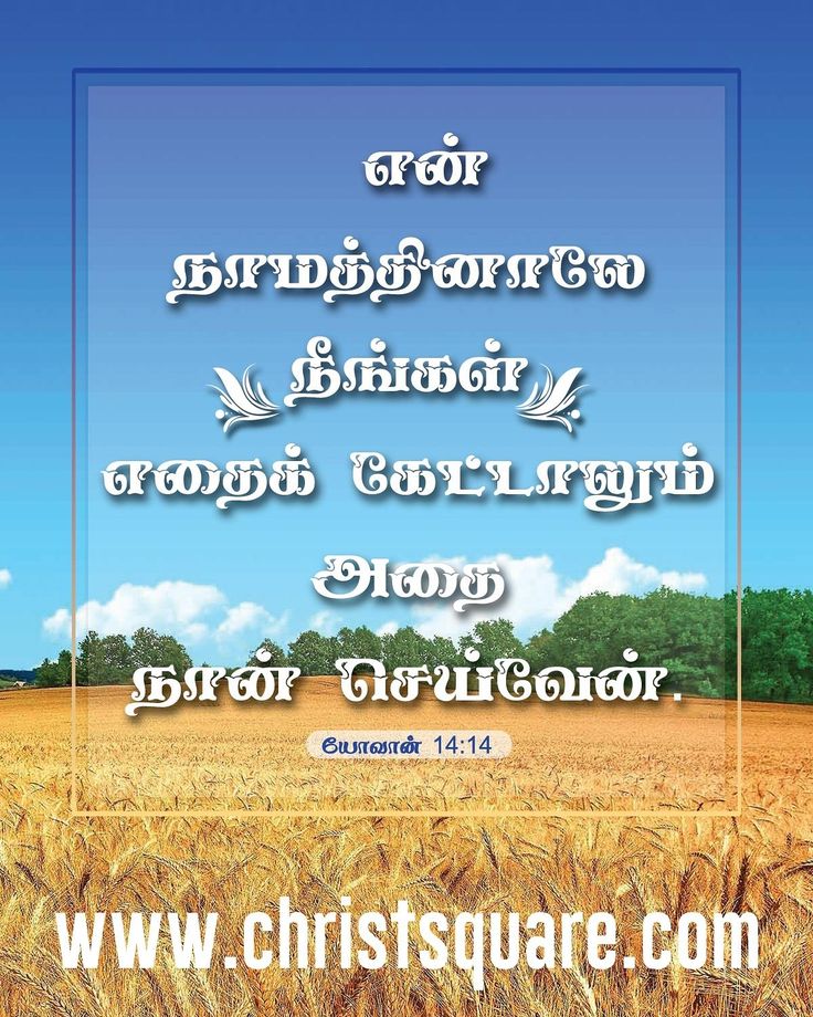 bibbia tamil versi sfondi hd,testo,paesaggio naturale,prateria,famiglia di erba,font