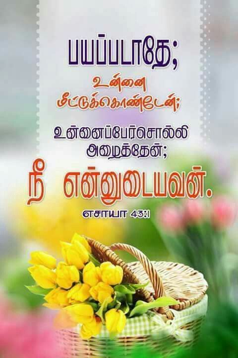 bible words wallpapers in tamil,text,book,plant,flower,herbal