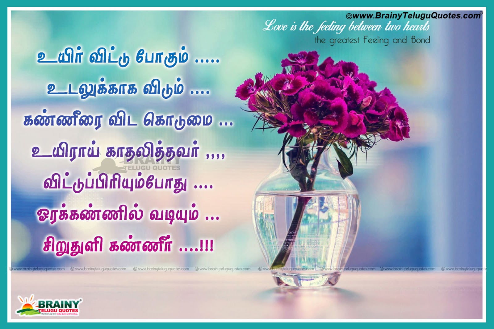 tamil letters wallpapers,text,purple,flower,cut flowers,font