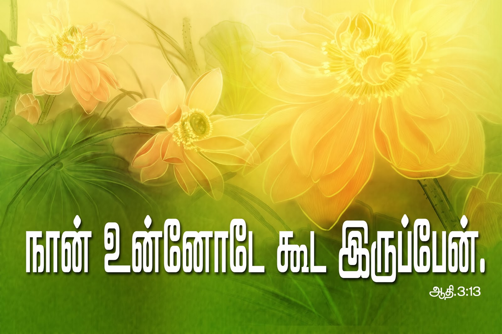 tamil bible words hd wallpaper,green,text,yellow,font,graphic design